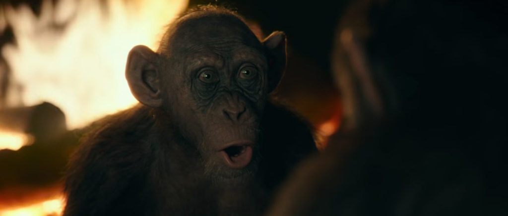 War-for-the-Planet-of-the-Apes-Steve-Zahn,-Bad-Ape - Electric Shadows